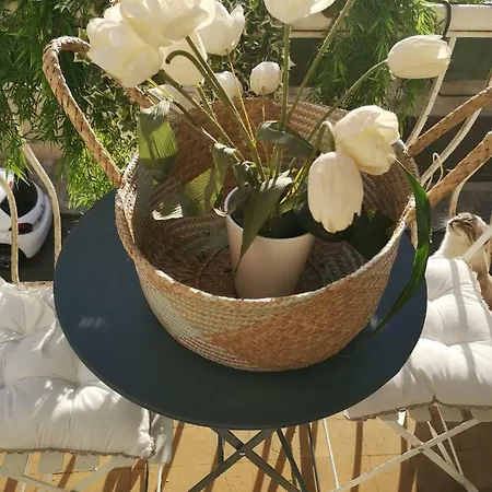 Apartament Familial Dans Le Triangle Dor Ajaccio *